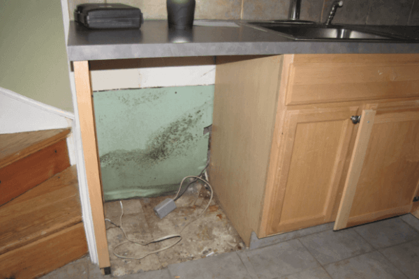 Dishwasher leaked for months undetected and grew mold on the walls